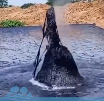 WTI在震荡交易中小幅走高 市场聚焦特朗普设定的